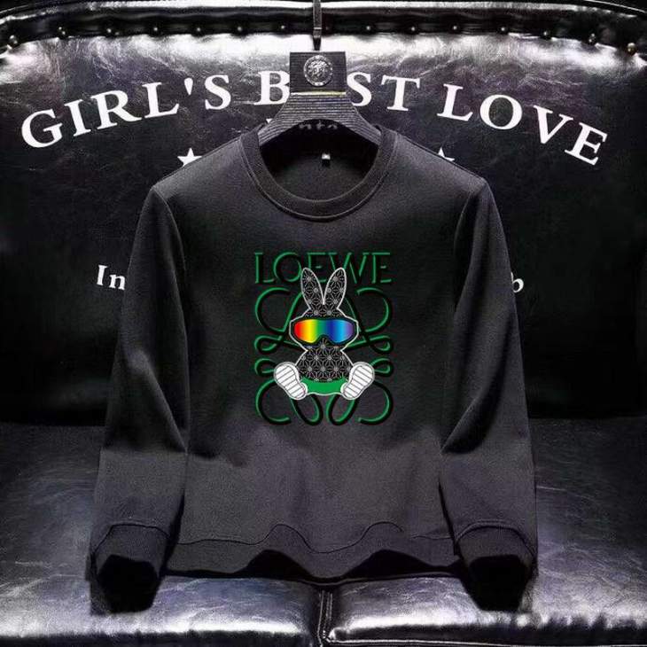 Picture of Loewe  Sweatshirt _SKULoeweM-4XL11Lr13133591